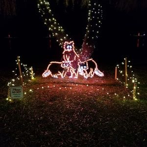 Meet your Posher, Natasha